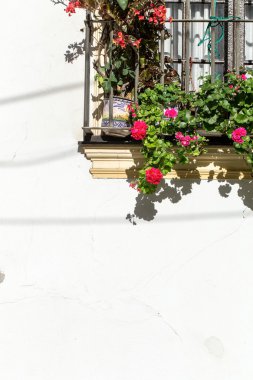 Kiliseler ve sokaklar. Bir Jerez de la Frontera, İspanya