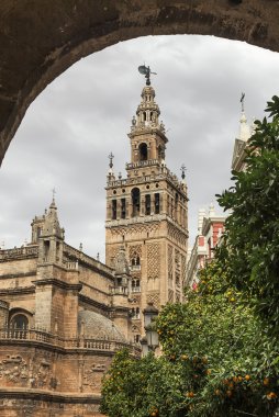 Ünlü Katedrali ve İspanya Sevilla'daki Giralda