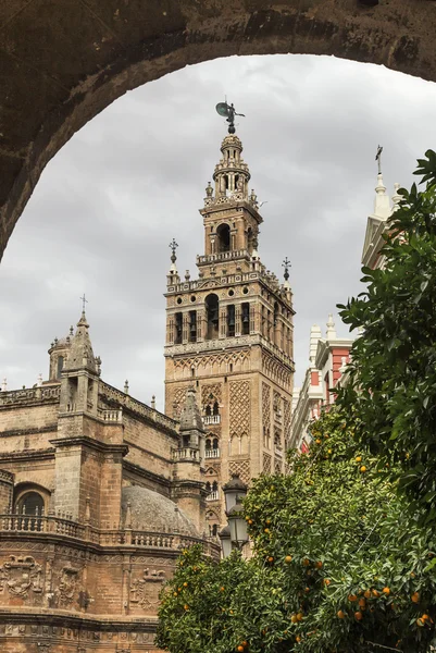 유명한 대성당과 스페인 세비야의 히랄다 — 스톡 사진