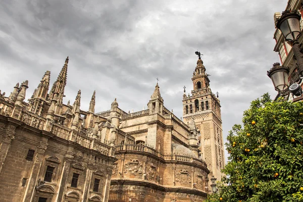 Famous cathedral and Giralda in Seville in Spain — Stock Photo, Image