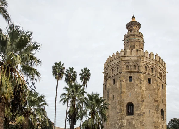 세비야 안달루시아 스페인에서 금 탑 — 스톡 사진