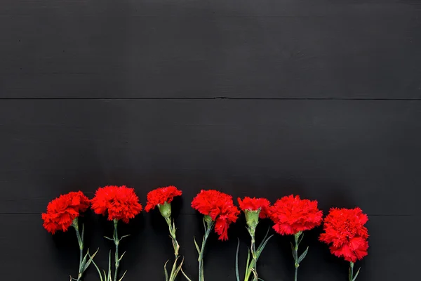 Siyah arka plan üzerine birkaç kırmızı karanfiller natürmort