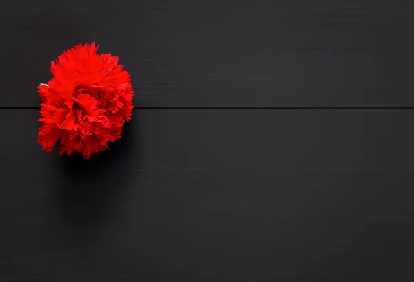 Siyah arka plan üzerine birkaç kırmızı karanfiller natürmort — Stok fotoğraf