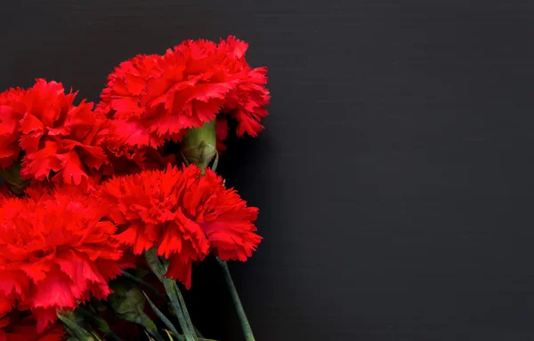 Bodegón de varios claveles rojos sobre fondo negro — Foto de Stock
