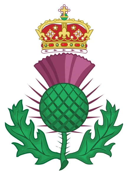 Symbole de chardon d'Écosse — Image vectorielle