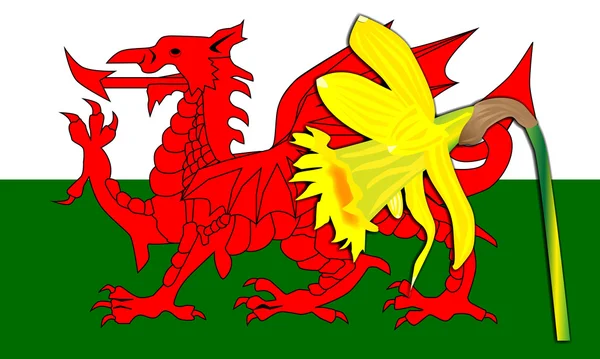 Daffodil Welsh Dragon Flag — Stock Vector