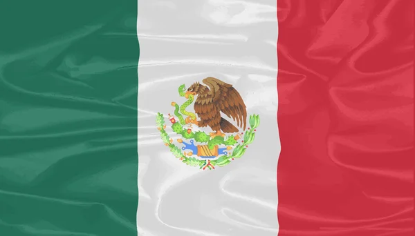 Mexicaanse zijde vlag — Stockvector