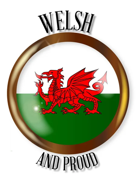 Walesiska stolta flagga knappen — Stock vektor