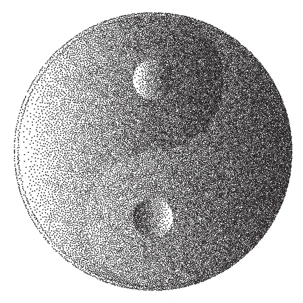 Yin et Yang dans le style pointillé — Image vectorielle