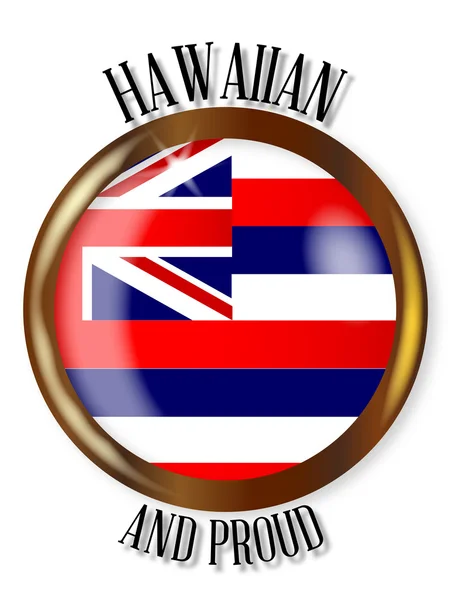 Hawaii trotse vlag knop — Stockvector