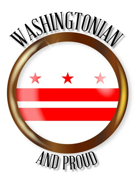 Bouton de drapeau fier de Washington DC — Image vectorielle