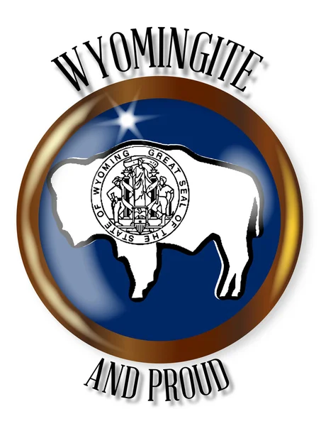 Wyoming Orgulloso botón de la bandera — Vector de stock