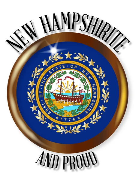 Bouton de drapeau fier du New Hampshire — Image vectorielle