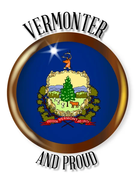 Botón de bandera de Vermont orgulloso — Vector de stock
