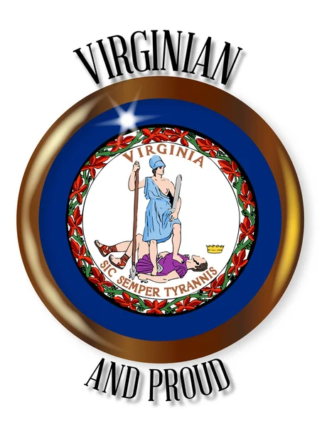 Tombol Bendera Bangga Virginia - Stok Vektor