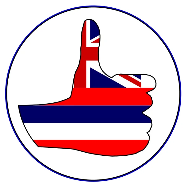 Великі пальці вгору Гаваї — стоковий вектор