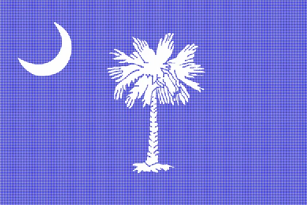 South Carolina Stato Bandiera Halftone — Vettoriale Stock