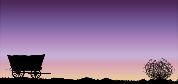 Single Covered Wagon