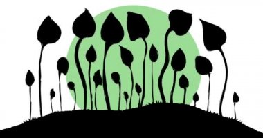 Küçük bir grup küçük mantar renklerini değiştirerek ritmik bir şekilde sallanıyor ve dans ediyor.