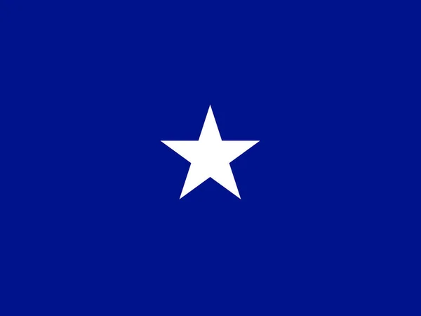 Флаг Военно Воздушных Сил Сша Бригадный Генерал Белой Звезды Синем — стоковый вектор