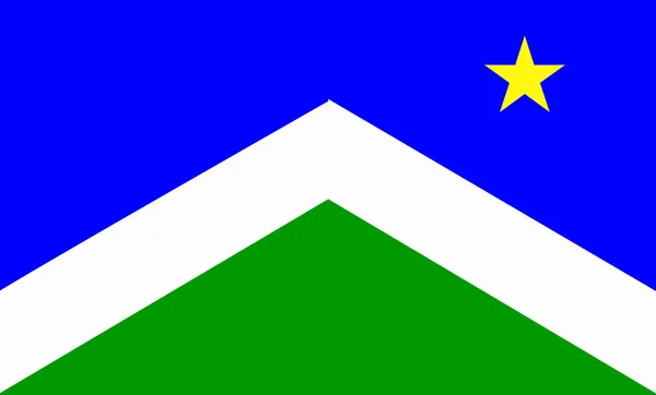 Bandera Tradicional Ciudad Alaska Sward Capital — Archivo Imágenes Vectoriales