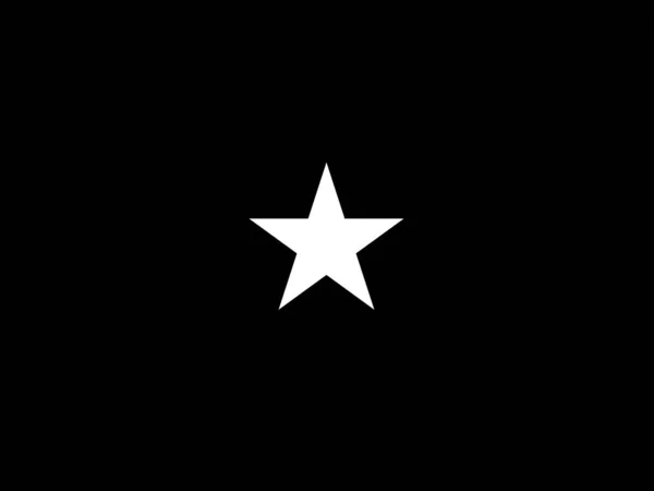 Drapeau Brigadier Général Une Étoile Blanche Sur Fond Noir — Image vectorielle