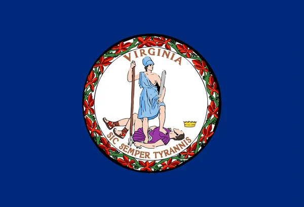 Vlag van virginia — Stockvector