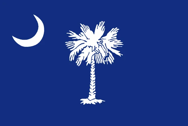 South Carolina State Flagge — Stockvektor