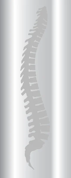 Columna vertebral — Vector de stock