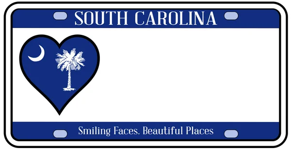 South Carolina State License Plate — Stock vektor