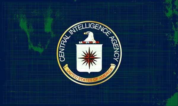 Cia フラグ グランジ — ストックベクタ