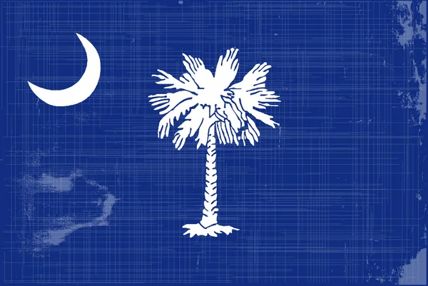 South carolina eyalet bayrağı — Stok Vektör