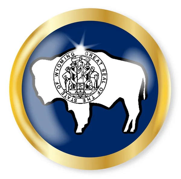 Bouton drapeau du Wyoming — Image vectorielle