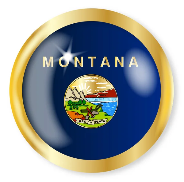 Montana flaga przycisk — Wektor stockowy