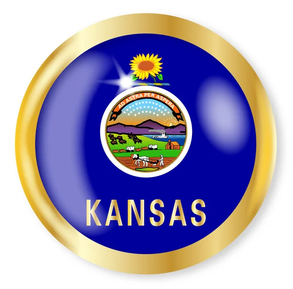 Kansas Flag Button — Stock Vector