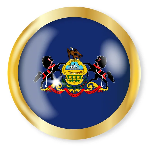 Bouton drapeau Pennsylvanie — Image vectorielle