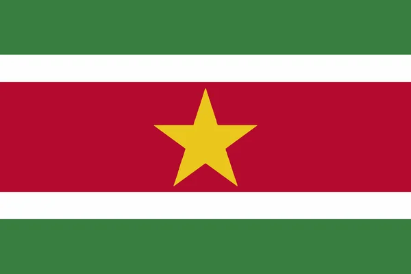 スリナムの国旗 — ストックベクタ