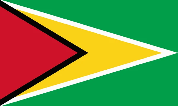 Guyanas flagga — Stock vektor