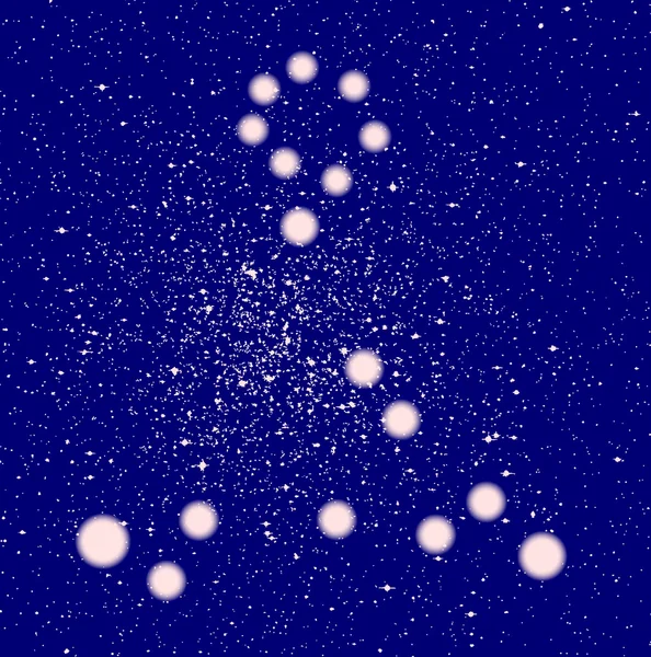Constelation balık — Stok Vektör