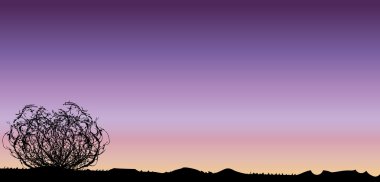 Tumbleweed Sunset clipart