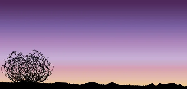 Tumbleweed ηλιοβασίλεμα — Διανυσματικό Αρχείο