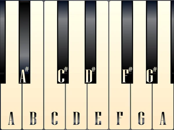 Piano Keys Note Names — Stock Vector
