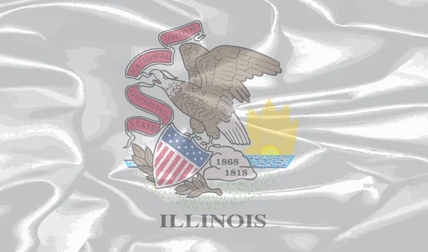 Ilinois State Silk Flag — Stok Vektör