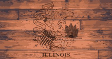 Illinois bayrak marka