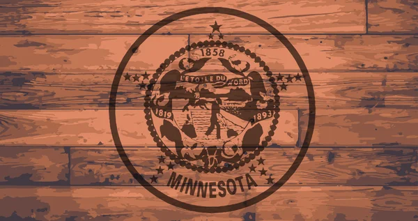 Minnesota flagge marke — Stockvektor