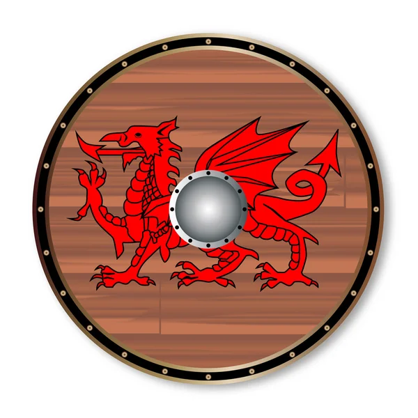 Ronde Celt Shield — Stockvector