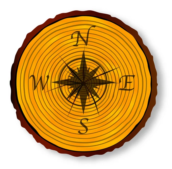 Compass Face On Timber Section — Διανυσματικό Αρχείο