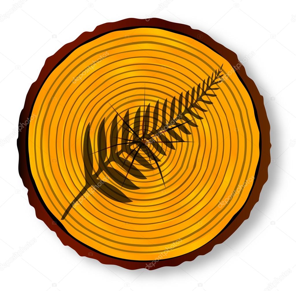New Zealand Silver Fern On Timber Section