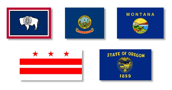 États-Unis State Flag Collection — Image vectorielle