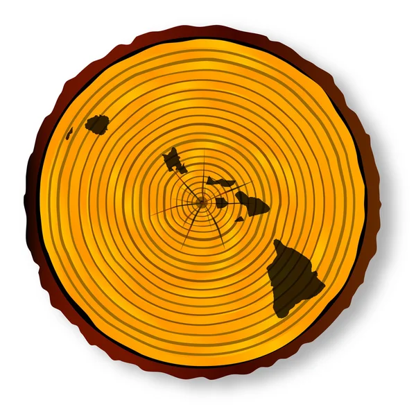 Mappa delle Hawaii sul legno — Vettoriale Stock